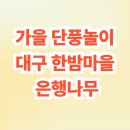 대율리 입구 주차장 옆 | 대구 단풍명소 한밤마을 은행나무