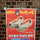 백악관성인나이트 이미지