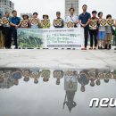 청원카 뉴스1