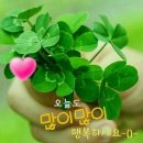 경산진량우체국 이미지