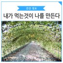 엘리나 필라테스 이미지