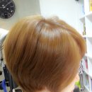 김싸롱 이미지