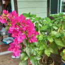 단곡1리 이미지