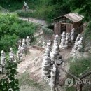 황지연못 가는길 이 이미지