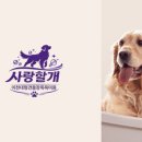 사랑할개 이미지