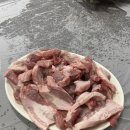 현참숯불뒷고기 | 대구 동대구역 근처 신천동 뒷고기 찐맛집 참숯불김해부추와뒷고기 내돈내산 솔직후기