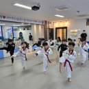 용인대 남양 태권도장 이미지