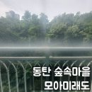 숲속마을모아미래도1단지경로당 | 동탄 아파트 유리창 청소 숲속마을 모아미래도 18년된 창문 물때와 페인트 제거