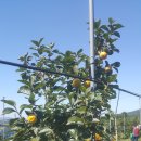 태주농장 이미지