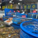 9번청과 이미지
