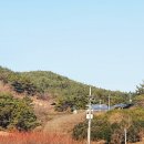 대곡면-6 이미지