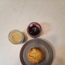 오델리스 이미지