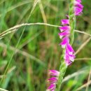 이일 장군 묘 이미지