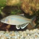 우주 행정사 이미지