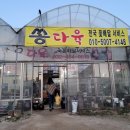 쏭다육