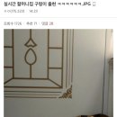 실시간 할머니집 구렁이 출현 ㅋㅋㅋㅋㅋㅋ .jpg 이미지