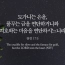 Bible Reading - Proverbs 17:1~10 이미지