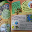 ＜쉽고 재미있게 지도 읽는 법＞ 책을 통해 세계를 탐험하면서 지도에 대해 배워요~ 이미지