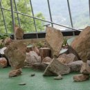 산골짜기농장 이미지