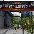 횡재인삼
