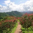 도화동산 이미지