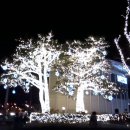 롯데백화점 앞 이미지