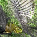 표장농장 이미지