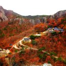 단풍 이미지