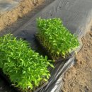 복현농장 이미지