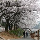 구불5길(물빛길) 이미지