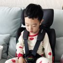 휴대용 카시트@ 다이치 이지캐리3, 내돈내산 후기