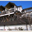 세라세미 이미지