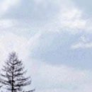 대문목장 이미지