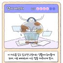 나는고양이 이미지