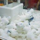 놀이터뽑기방 이미지