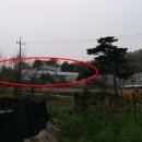 (주)엘엔피()