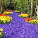 公共機關長 무더기 알박기 人事 論難 이미지