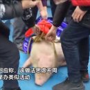 돼지발 이미지