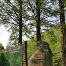 장태산의아침 이미지