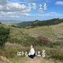 서쪽 하늘아래 반짝이는 효성마을 | 제주 동쪽 오름 추천 따라비오름 주차 소요시간 친구들과 함께 한 등반 후기