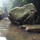 유왕별서 이미지