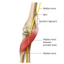 강남연세신통의원 이미지
