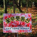 창원시 마산 용마공원 꽃무릇 축제 이미지