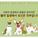 석적동물병원 네이버블로그