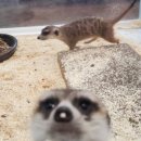 로던트클럽 화정 본점 이미지