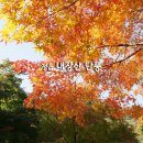 내장산식당 이미지