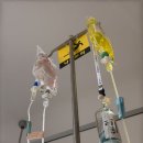 대동보조기 | 허리 유합술 및 갑압술 후기