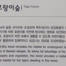 수목원약수터 이미지