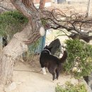 펜션 바닷가 뜨락 이미지