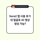 학부모의생성성AI,챗GPT활용법 | Sora2 앱 사용 후기 내 얼굴로 AI 영상 생성 가능?